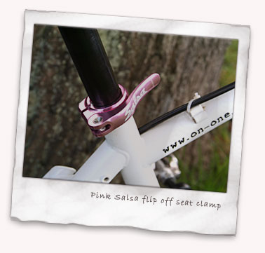 Pink Salsa flip off seat clamp