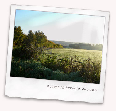 Bockett's Farm in autumn Bockett's Farm in autumn
